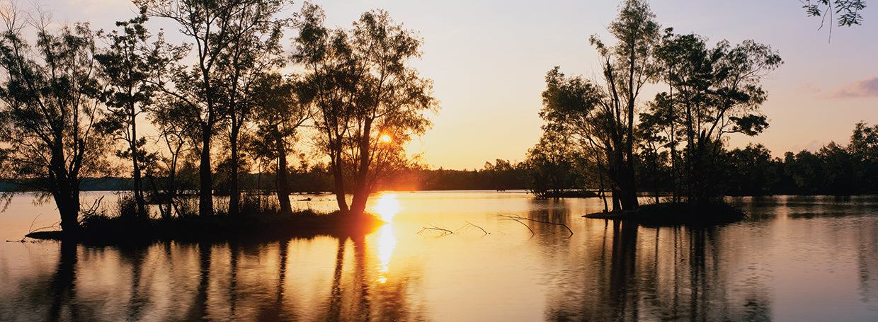 Sunset over Cypress Trees