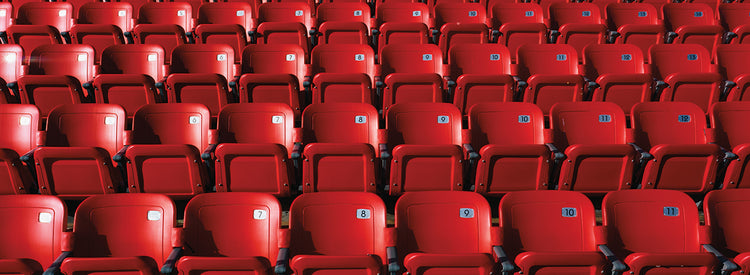 Asientos del estadio Lienzo