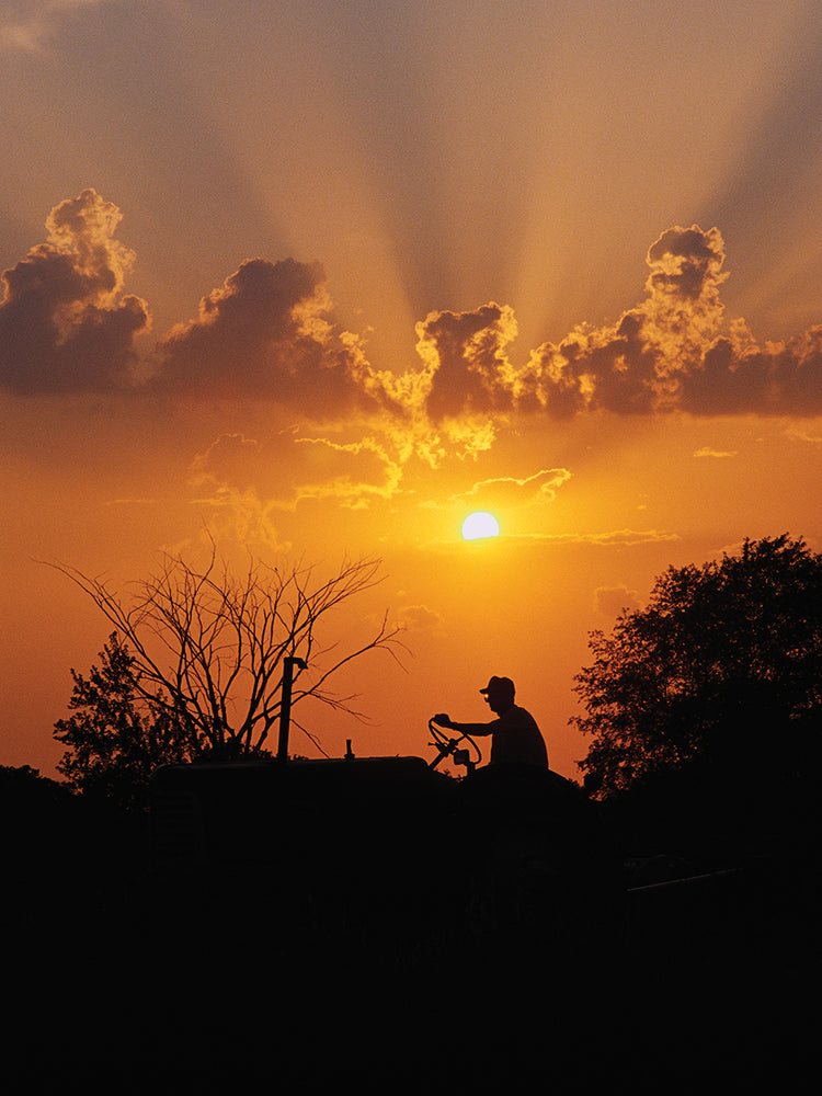 Farmer at Sunset