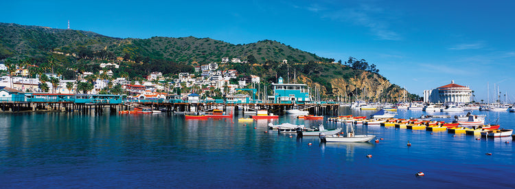 Catalina Marina