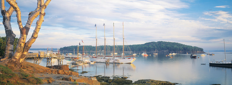 Boats at Bar Harbor
