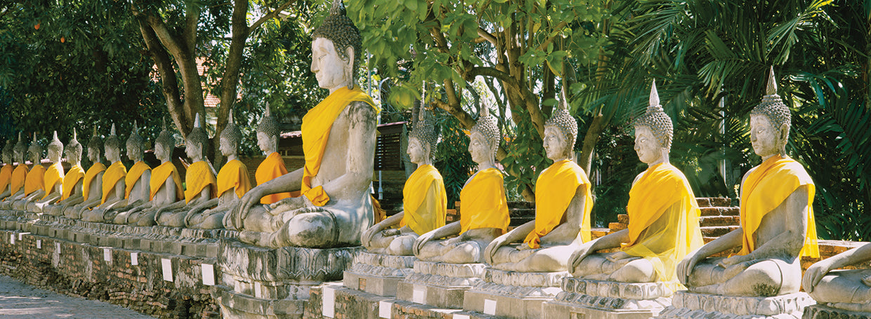 Thai Buddhas