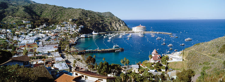 Sunny Santa Catalina Island