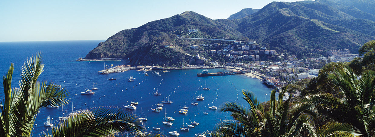 Barcos en la isla de santa catalina Lienzo