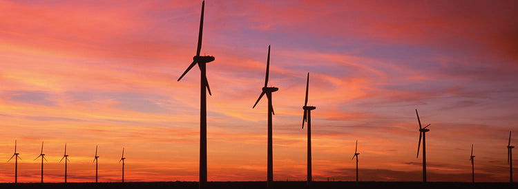Atardecer de aerogeneradores Lienzo