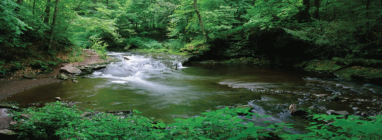 River in Pennsylvania