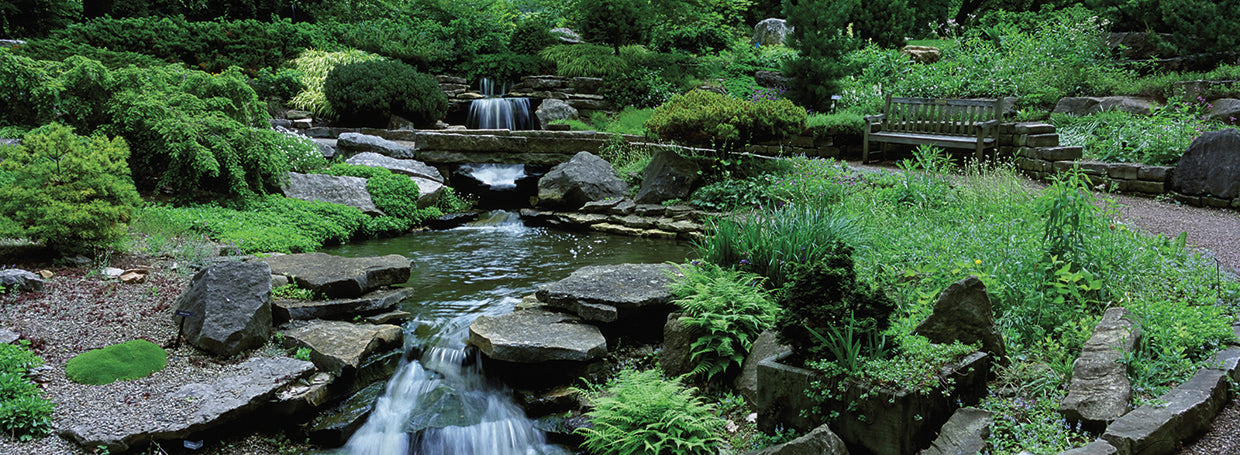 Bosque de jardines de Inniswood Lienzo