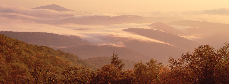 Fog over Blue Ridge Parkway