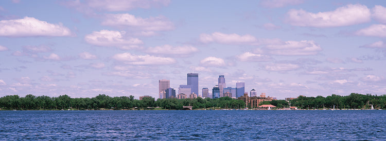Chain of Lakes Park Skyline