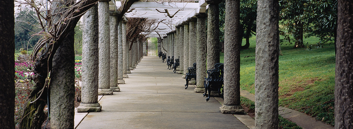 Columnas de Richmond Lienzo