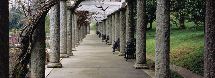 Columnas de Richmond Lienzo