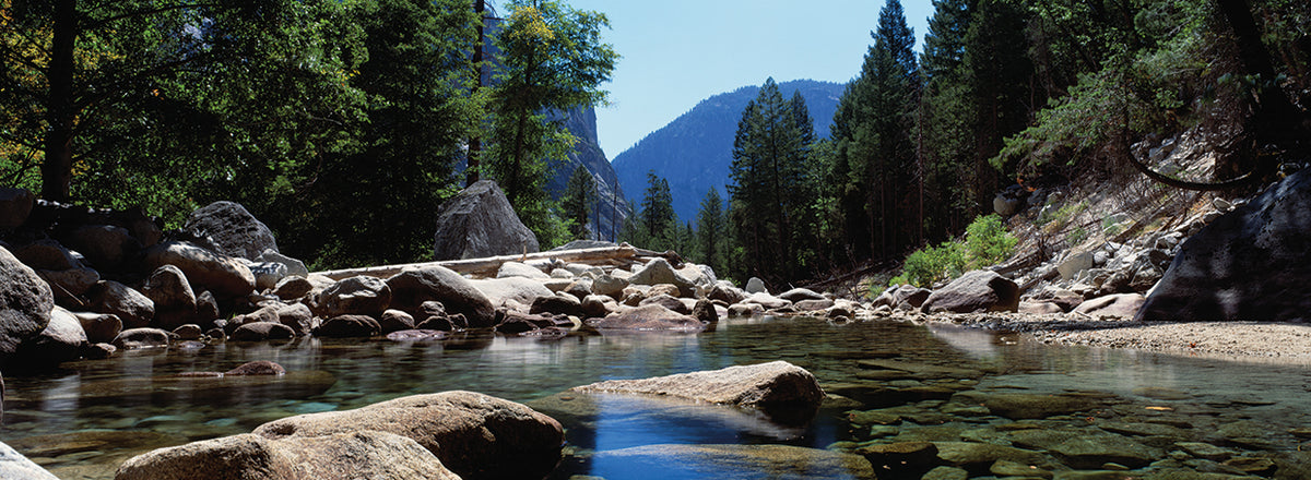 Mountain Behind the Pines