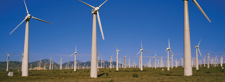 Aerogeneradores de Mojave Lienzo