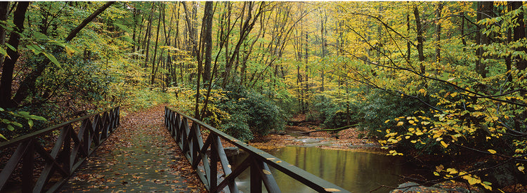 Cucumber Run Footbridge