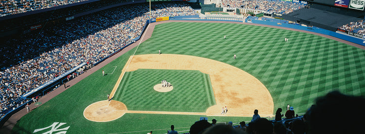 Vamos Yankees Lienzo