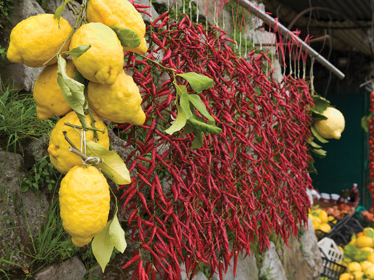 Lemons and Peppers in Sorrento