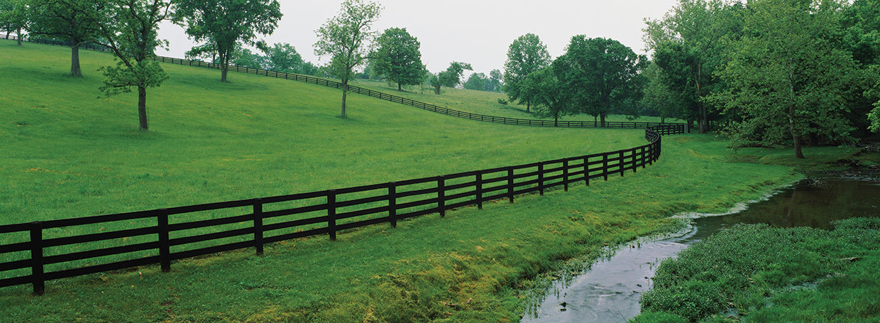 Condado de Woodford, Kentucky Lienzo