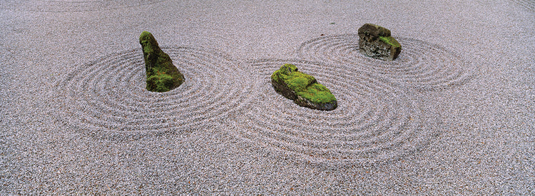 Zen Garden Moss