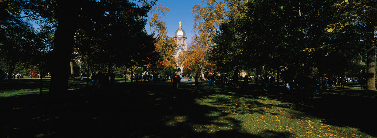Universidad de Notre Dame Lienzo