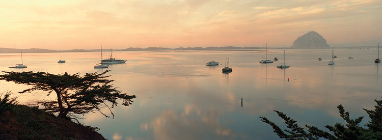 Morro Bay Boats