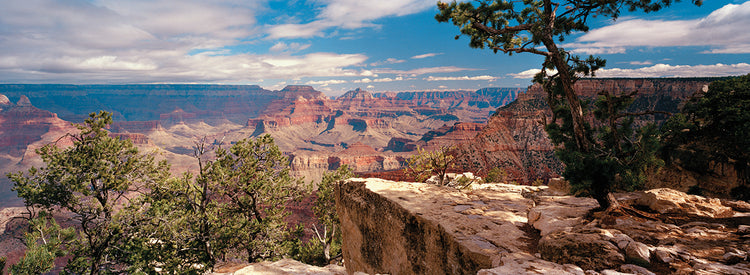 Mather Point, Gran Cañón Lienzo