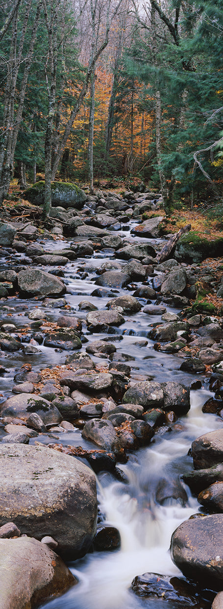 Arroyo de la montaña Adirondack Lienzo