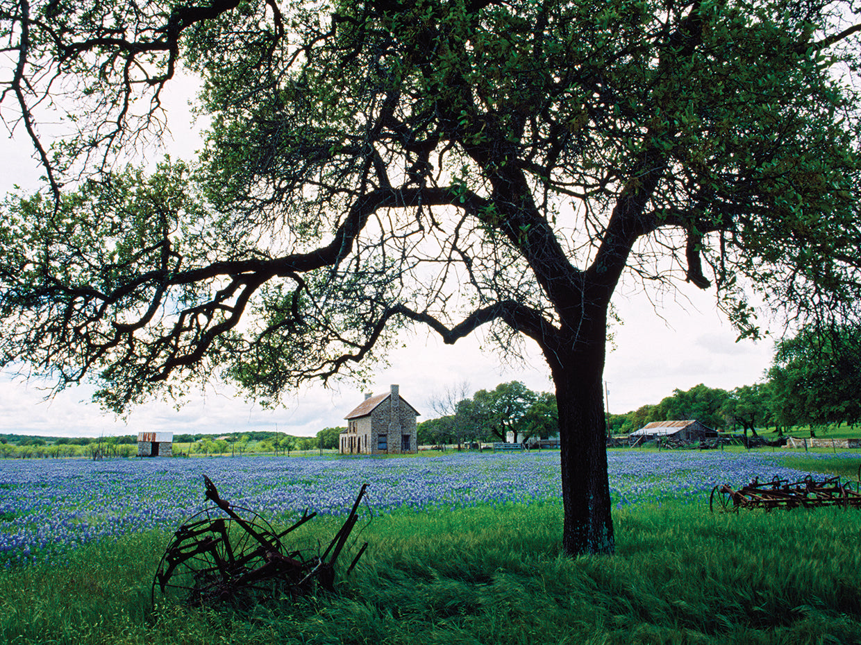 Wildflower Meadow Viewpoint