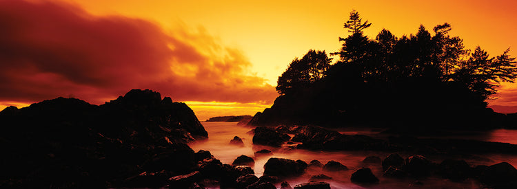 Vancouver Island Silhouettes