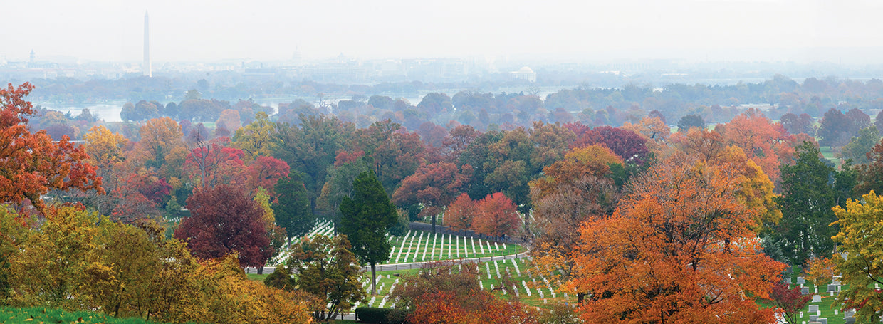 Above Arlington National Cemetery