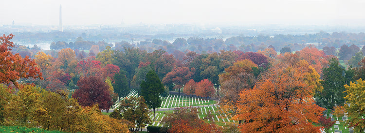 Above Arlington National Cemetery