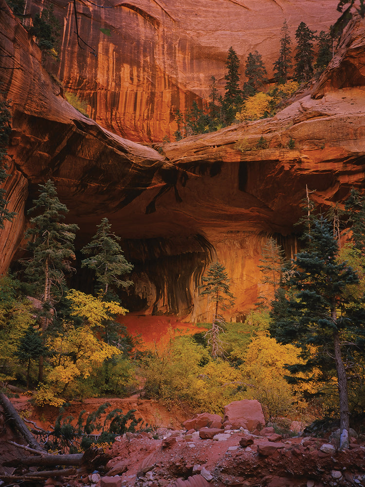 Zion National Park Cave