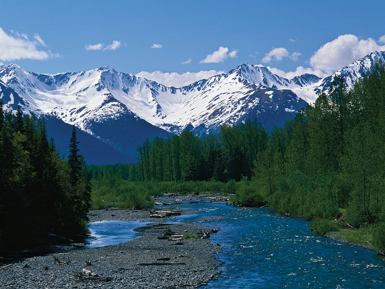 Arroyo de las montañas Chugach Lienzo