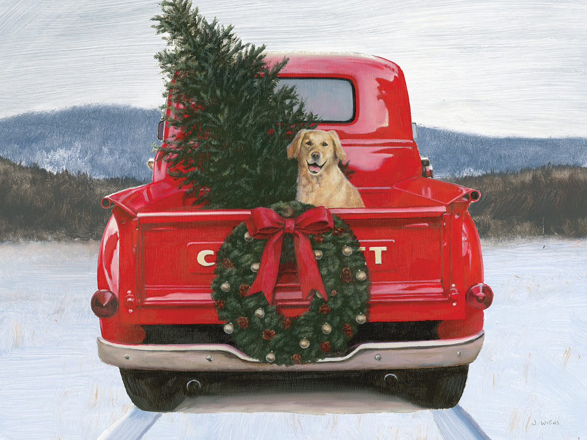 Christmas in the Heartland IV