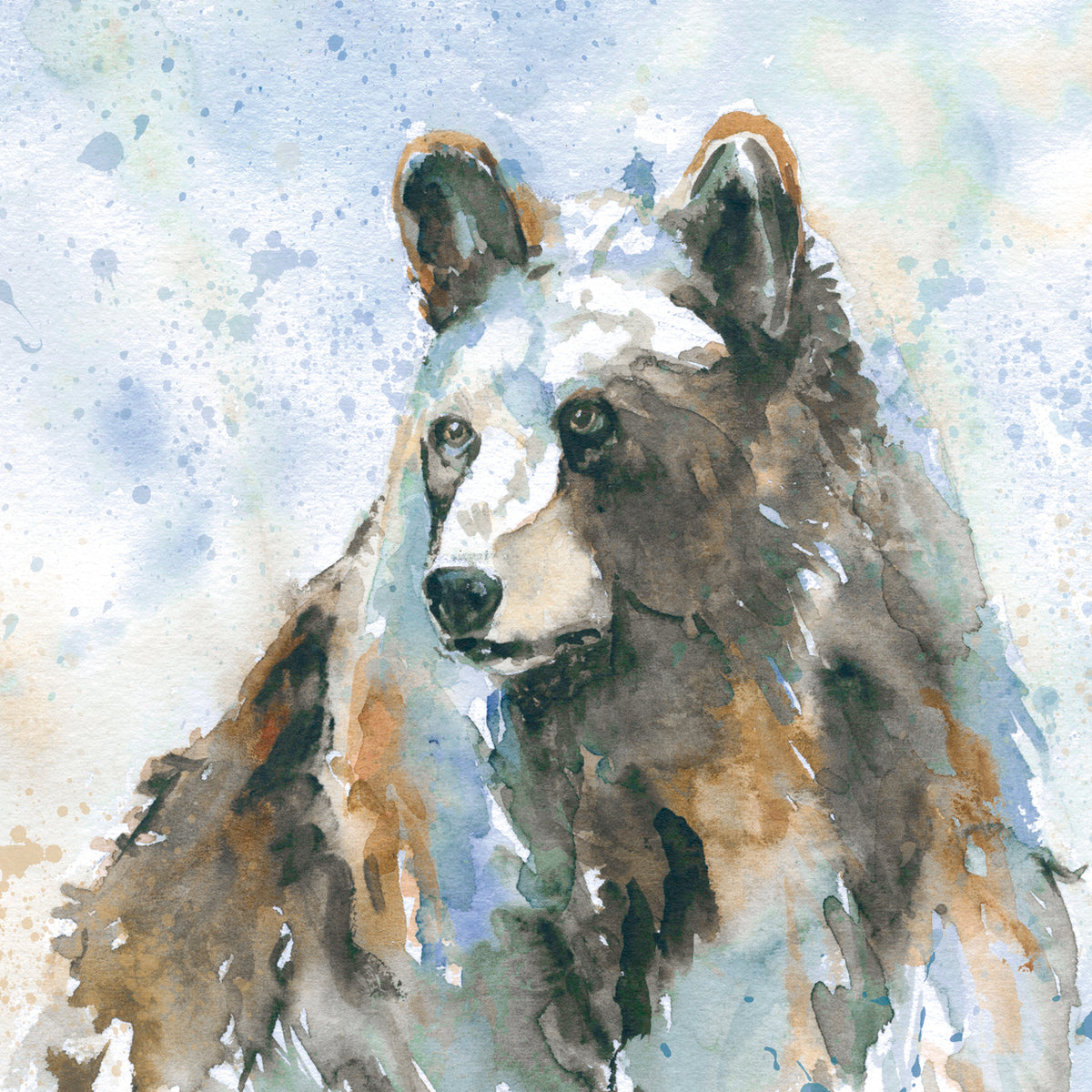 Black Bear on Blue