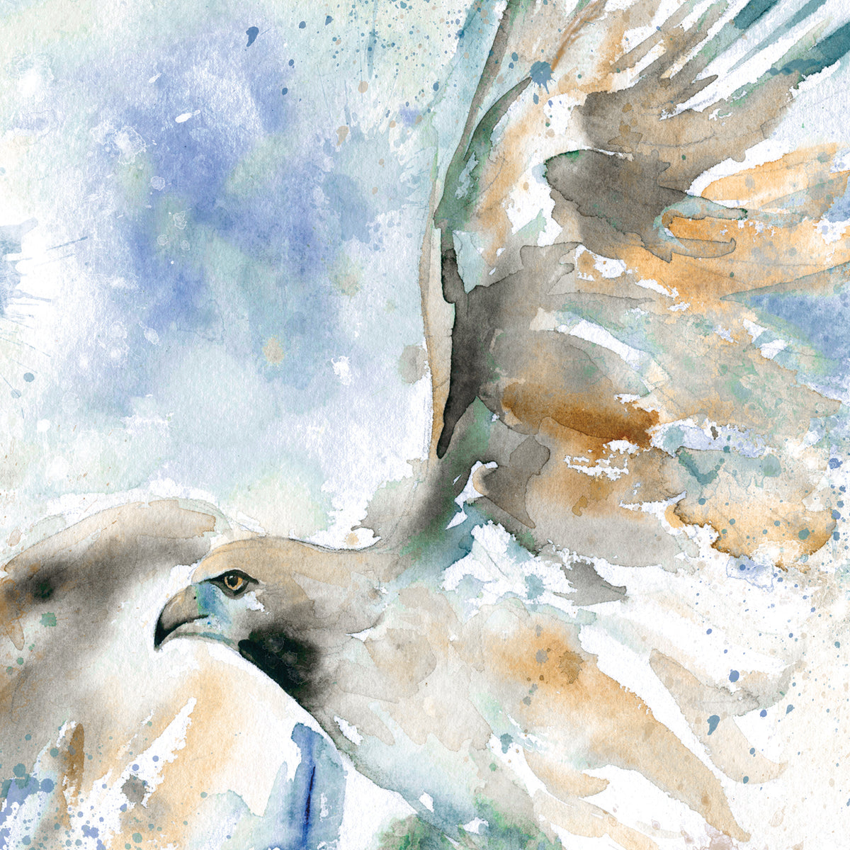 Hawk on Blue