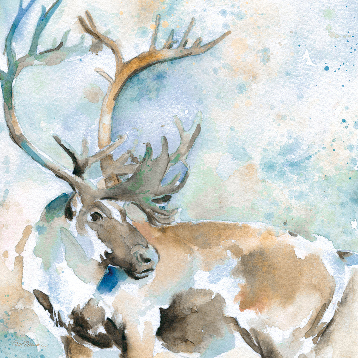 Caribou on Blue