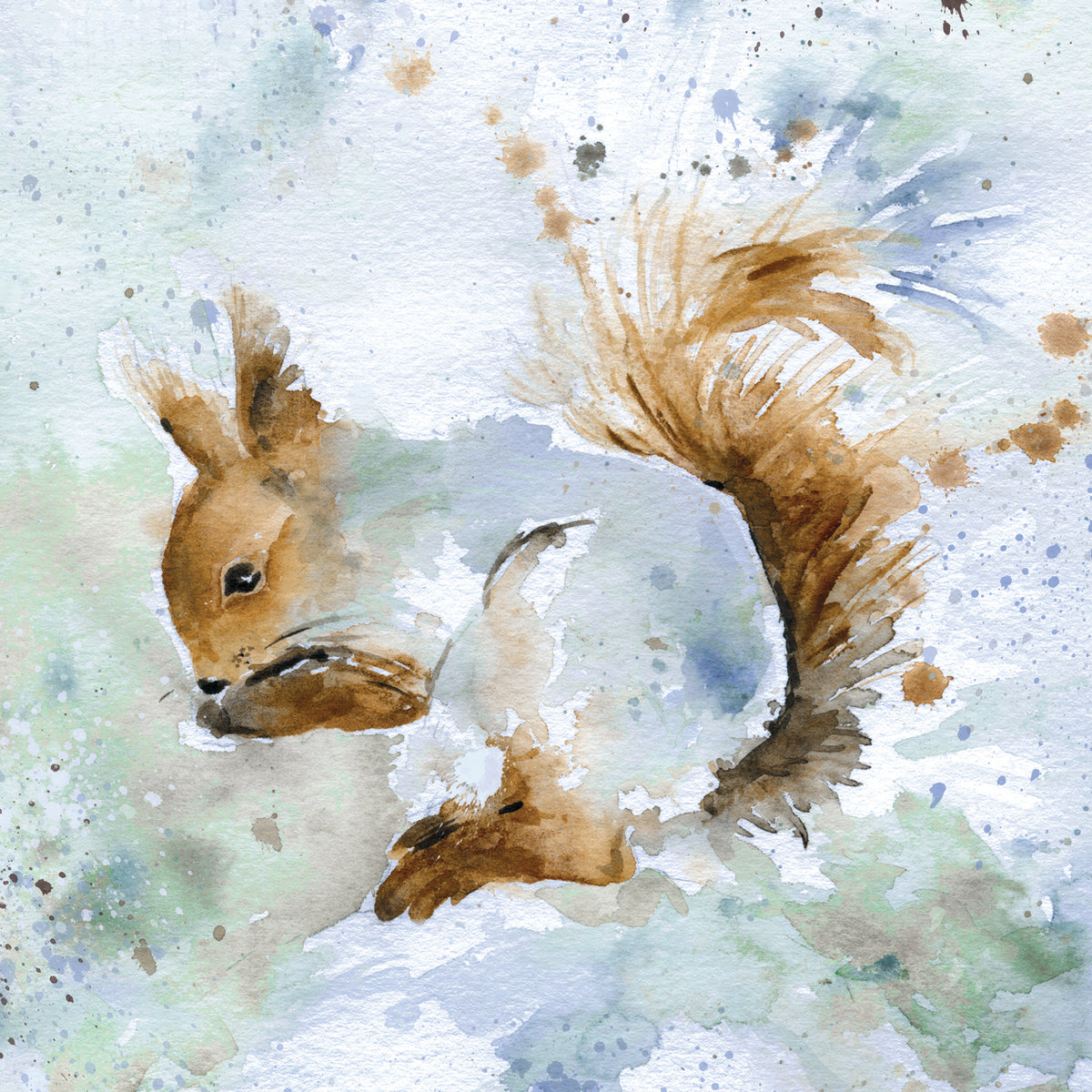 Squirrel