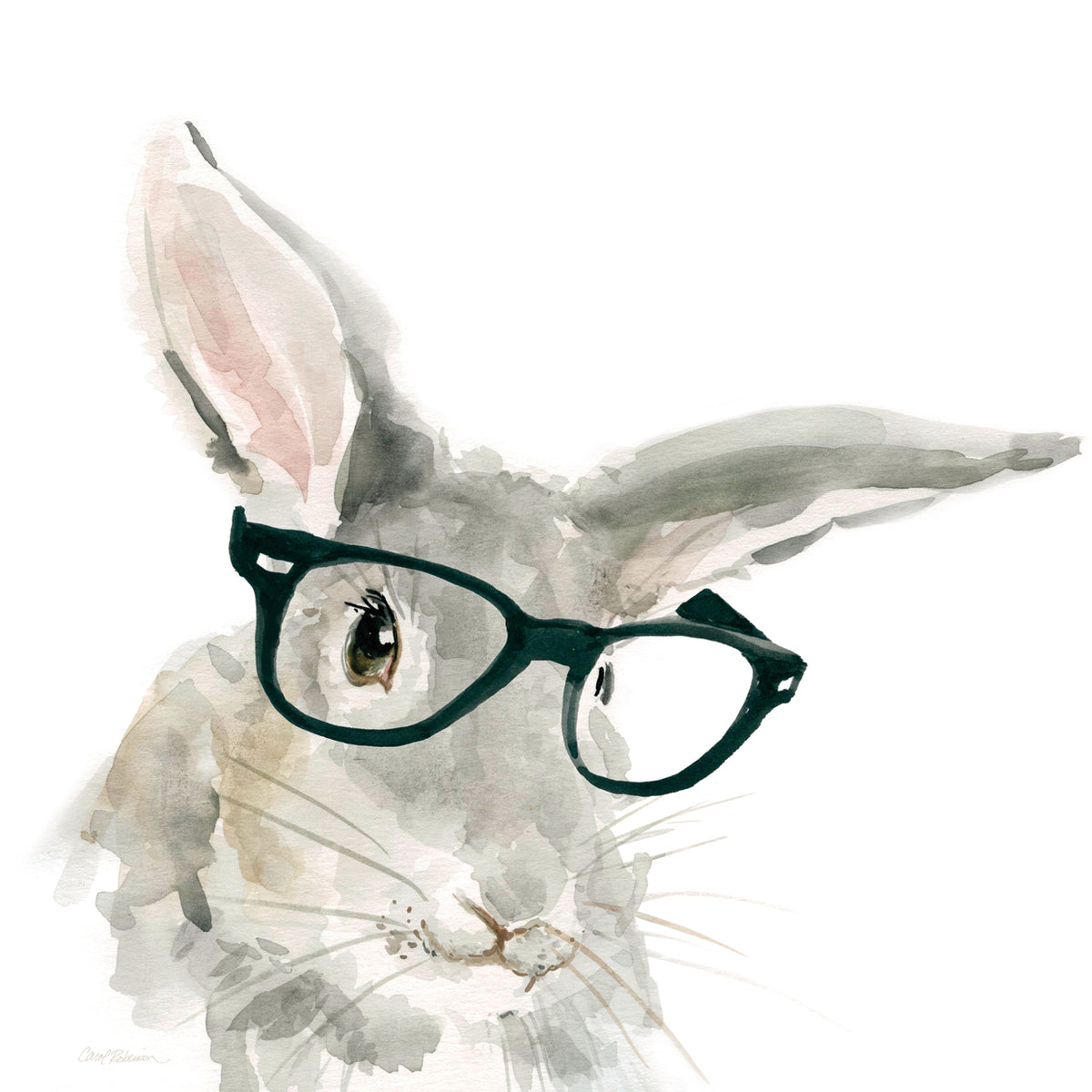 Cute Critter Rabbit