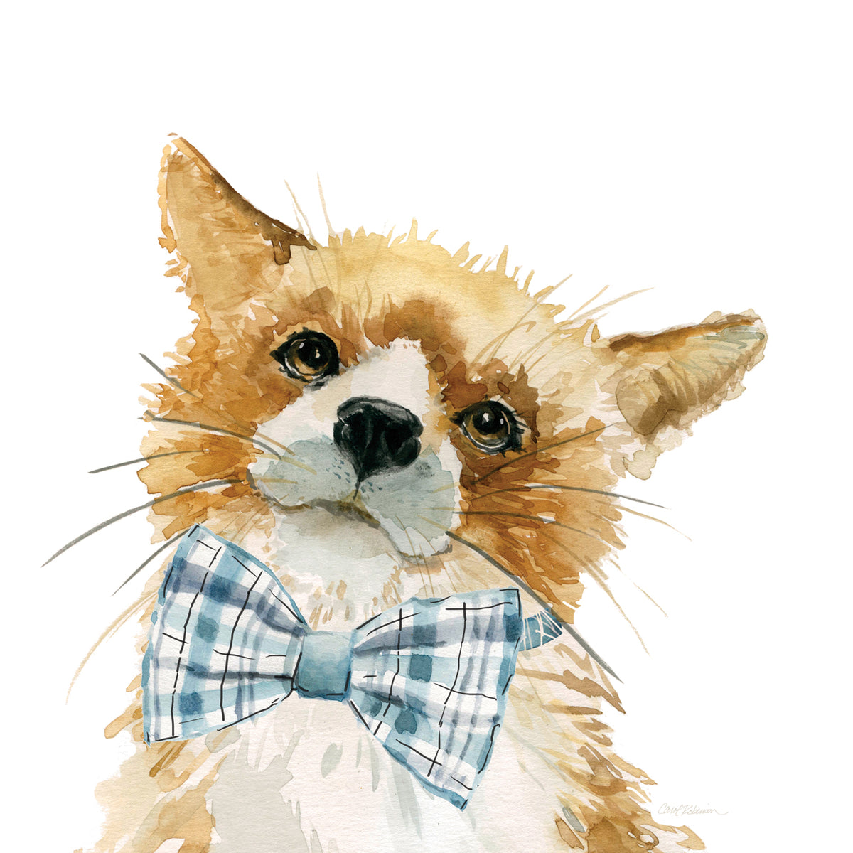 Cute Critter Fox