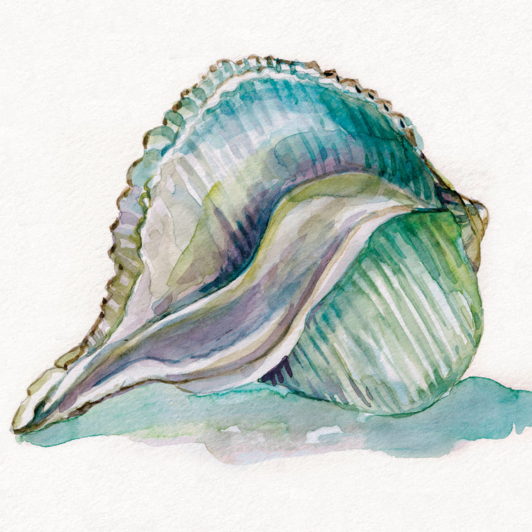 Malecón Shell I Lienzo