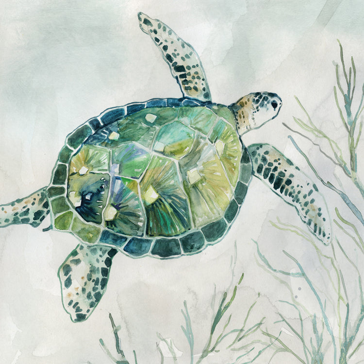 Seagrass Turtle I