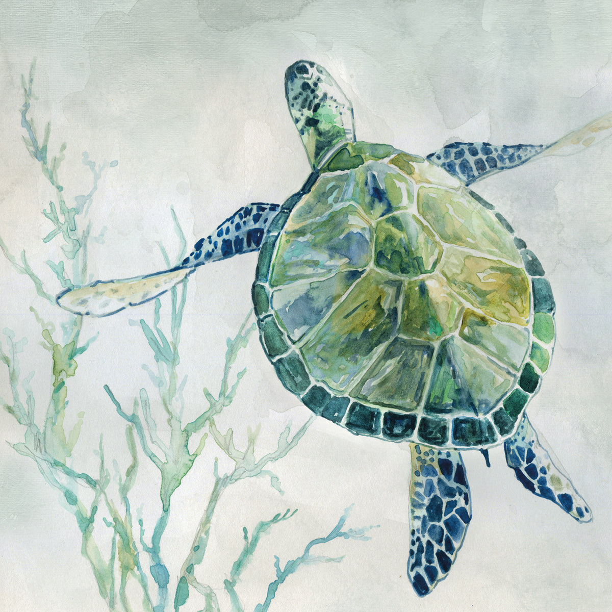 Seagrass Turtle II