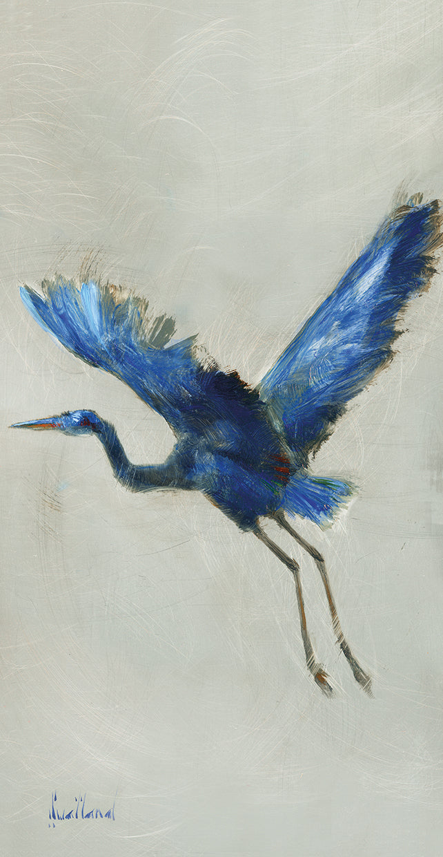 blue-heron-ii-katie-swtaland