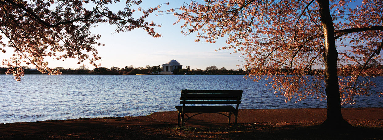Banco en Jefferson Memorial Lienzo