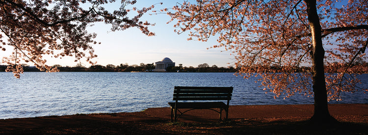 Banco en Jefferson Memorial Lienzo