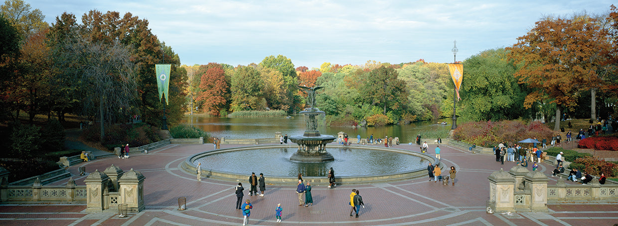 Tourists in Central Park