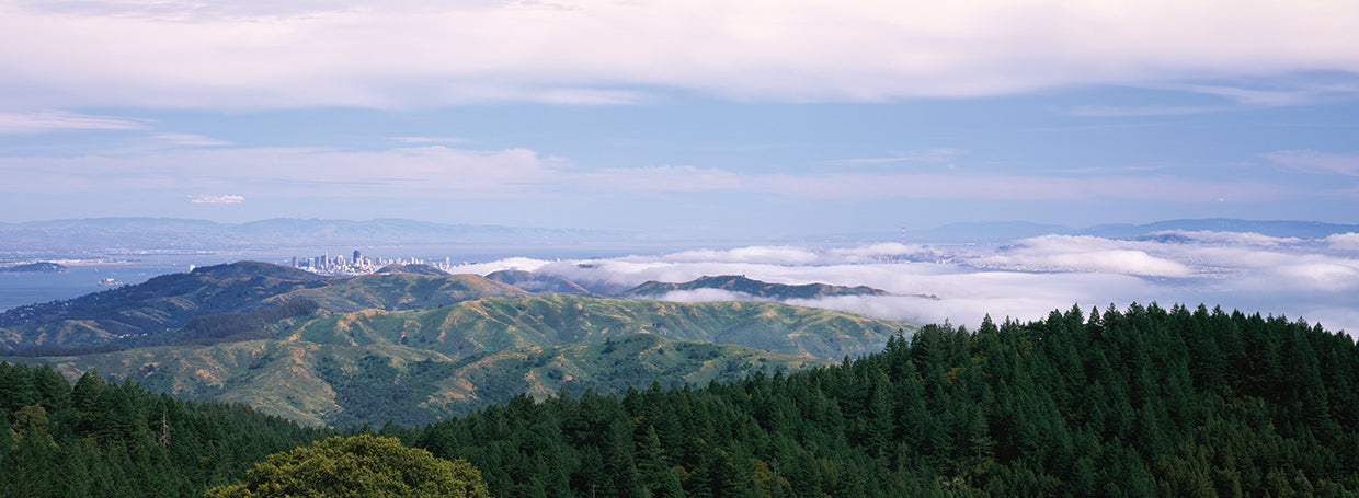 Vista desde el monte Tamalpais Lienzo