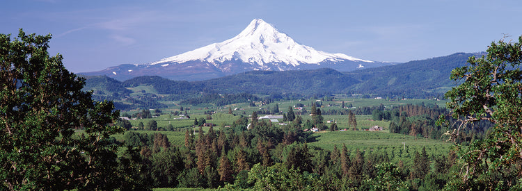 Monte cubierto de nieve Lienzo
