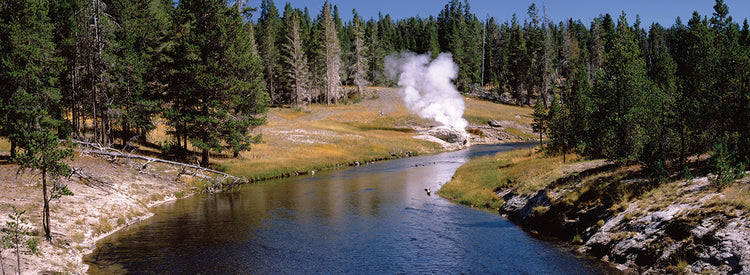 Ventilación en el parque de Yellowstone Lienzo
