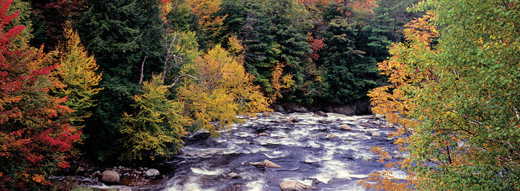 River in the Adirondack Mountains